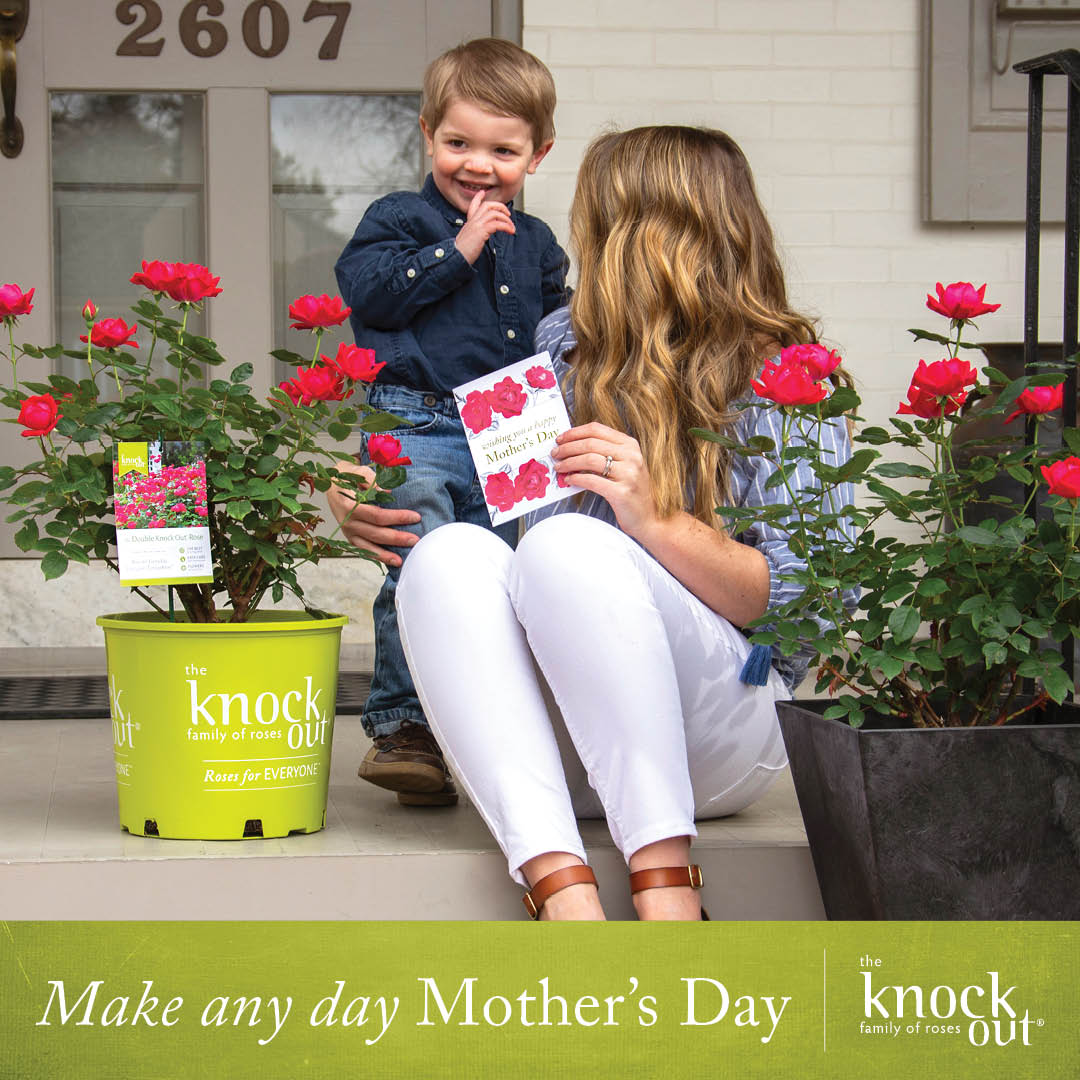 Open Knock Out Make Any Day Mother's Day Instagram Post
