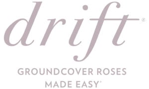Go to the Drift® Roses Website