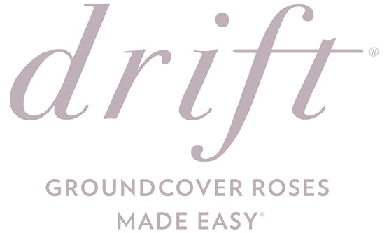 Go to the Drift® Groundcover Roses Made Easy Website