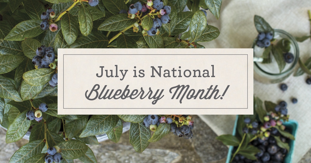 Open July is National Blueberry Month Post for Facebook