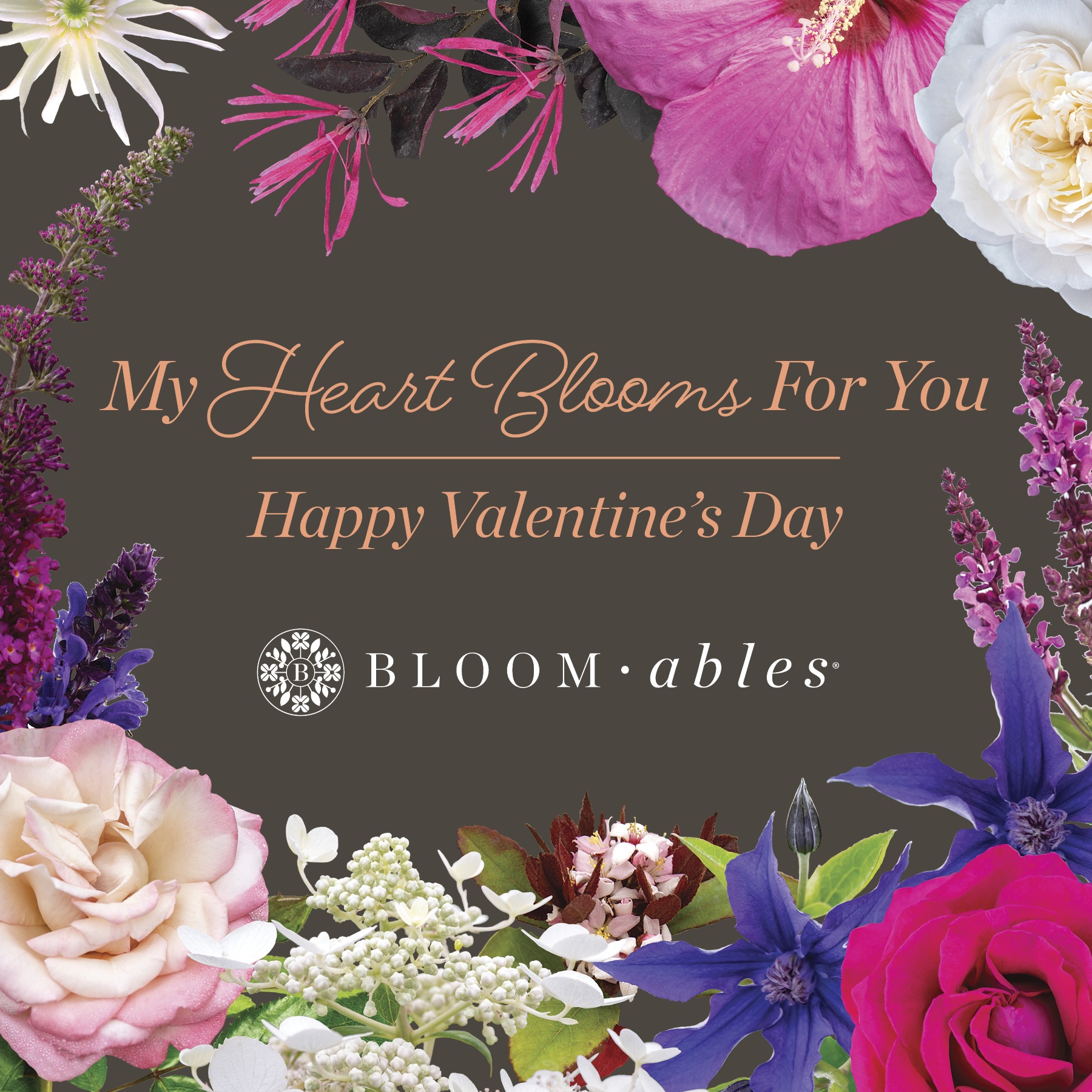 Open My Heart Blooms For You Valentine's Post for Instagram