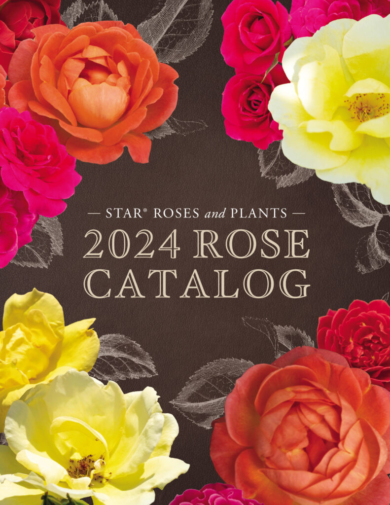 Open the 2024 Rose Catalog