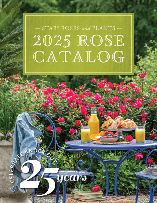 Open the 2025 Rose Catalog